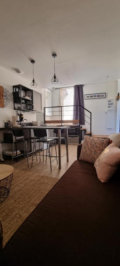 Appartement Chaleureux En Ardeche La Roche-de-Glun Eksteriør bilde